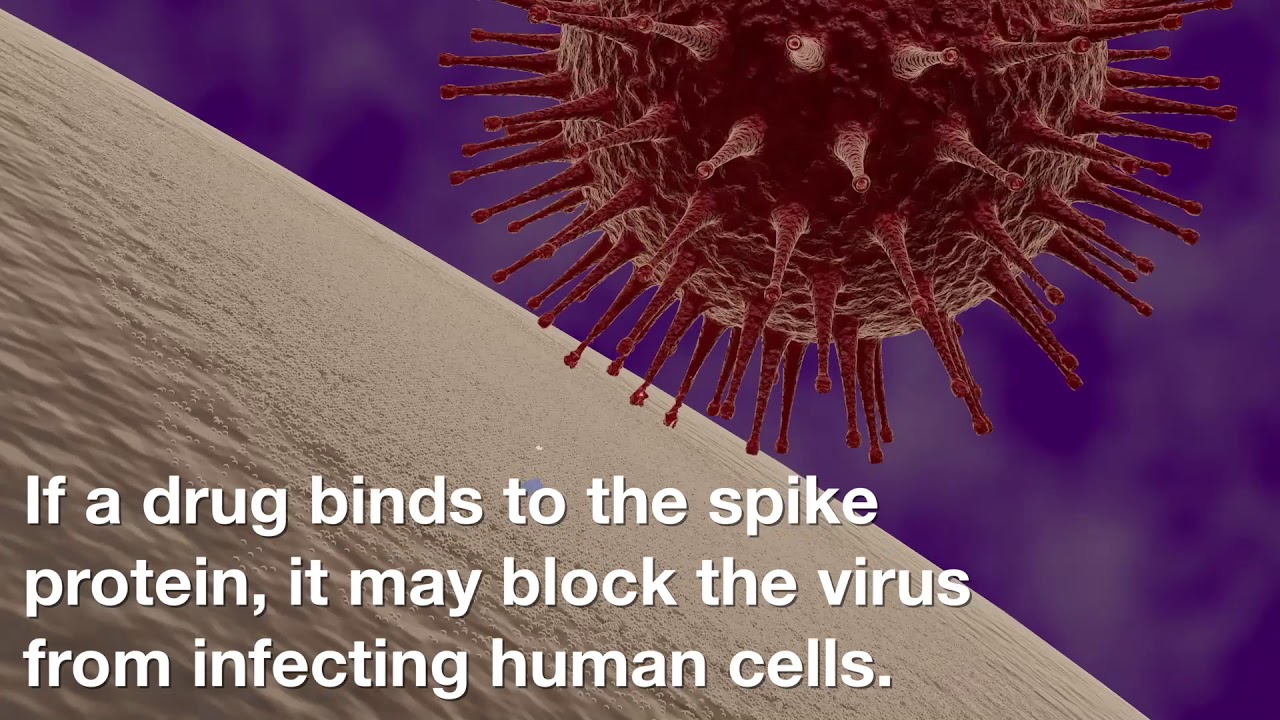 Researchers enlist Summit supercomputer to combat coronavirus