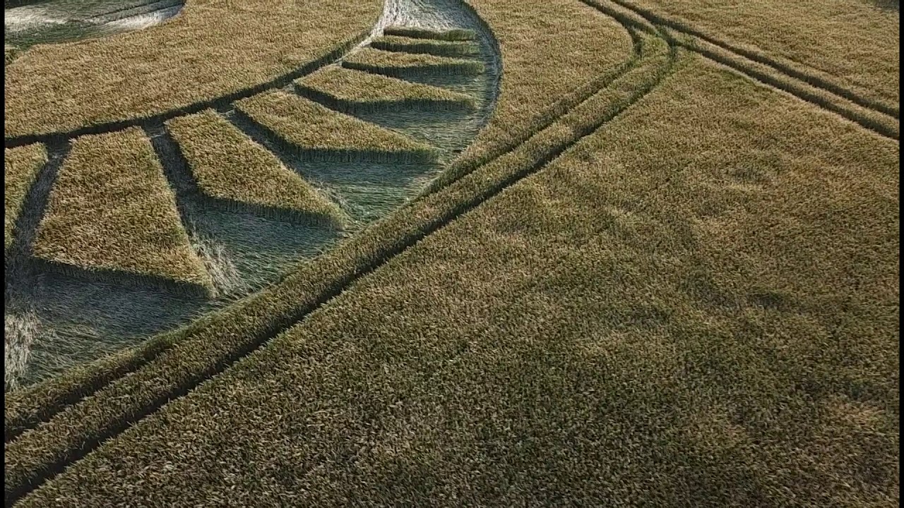 2020 New Crop Circle Southern England 25th May. Medicinal. agroglifos coronavirus