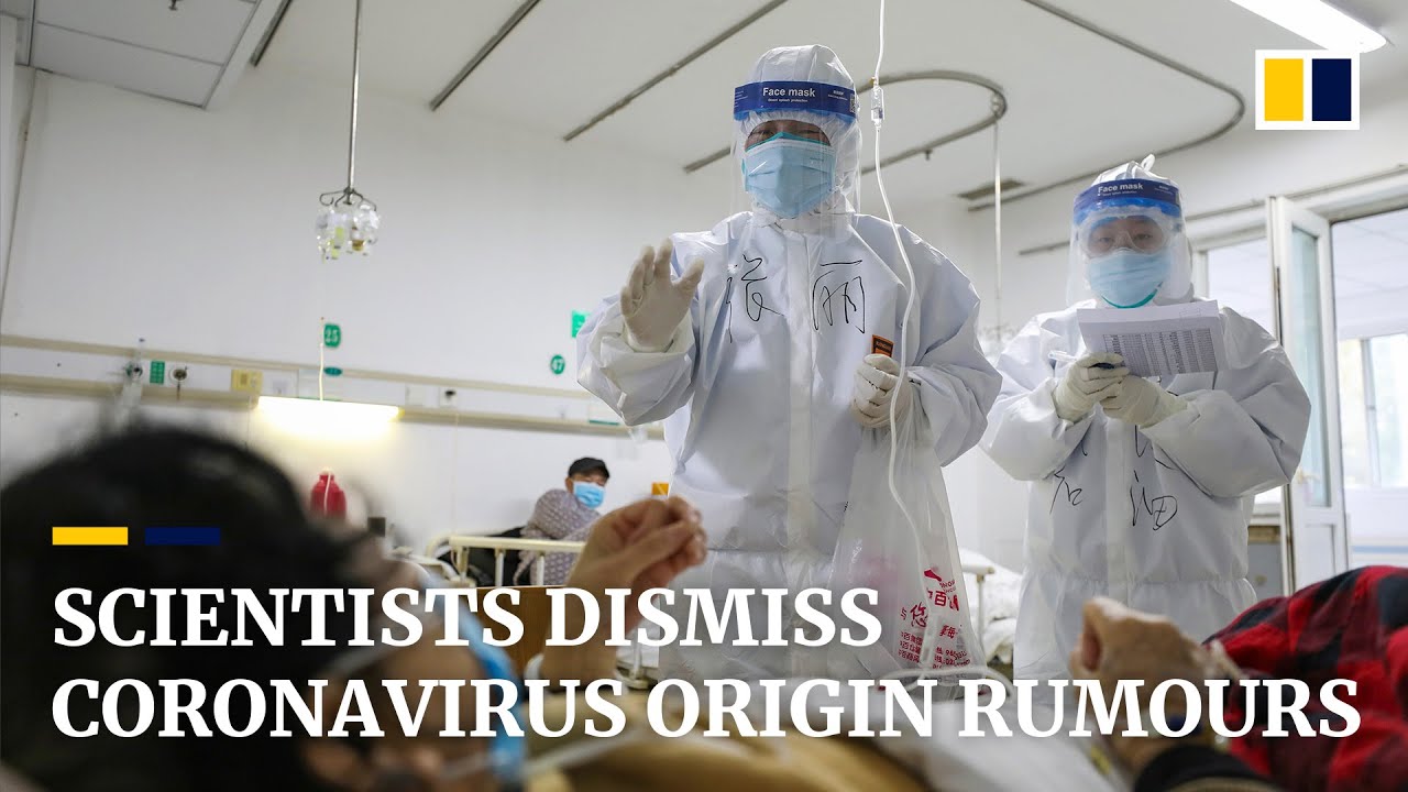 Coronavirus | Scientists dismiss claim that humans engineered the deadly contagion