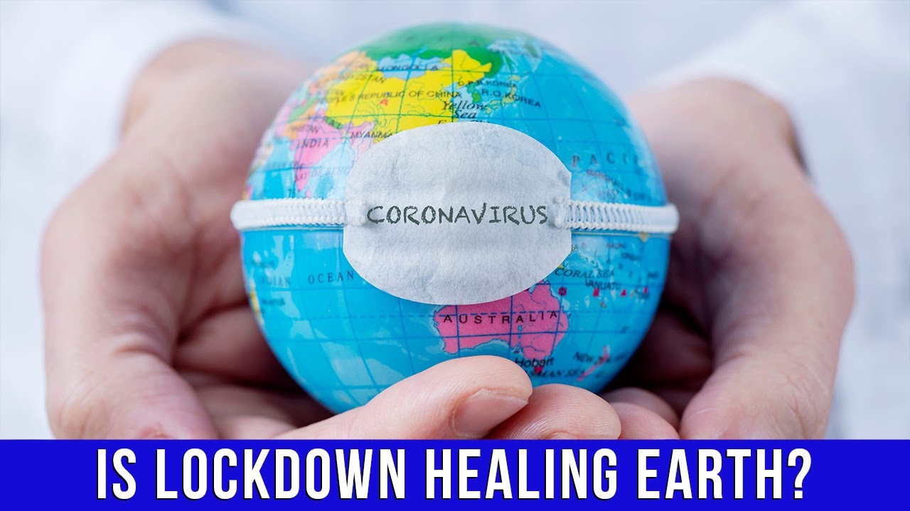 Coronavirus pandemic | Is the lockdown healing planet Earth?