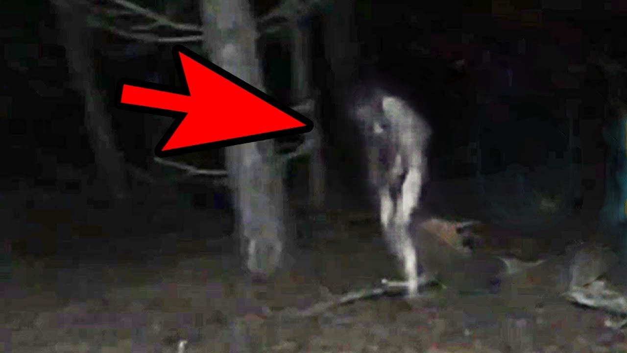 5 Mysterious Creatures Caught On Camera  | Top 5 STRANGE Creatures