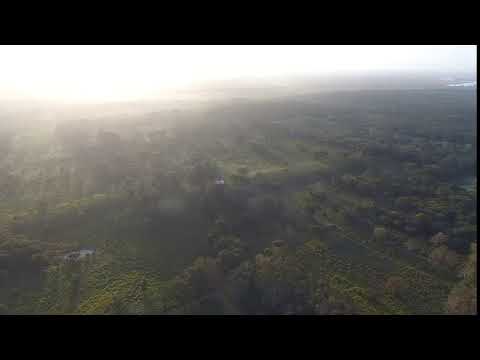 Aerial view of the Main Plateau of Aguada Fénix.