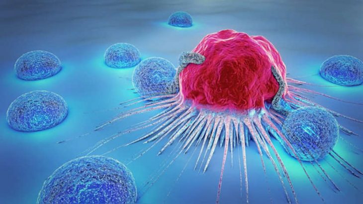 134113 658380 730x411 The 5 most important scientific advances that opened your eyes to the world this decade