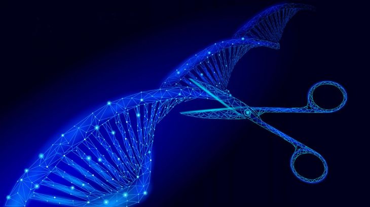 crispr genetic edition which is 730x409 The 5 most important scientific advances that opened the eyes of the world this decade
