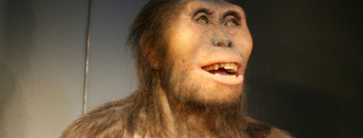 meh australopithecus afarensis 29 04 2012 11 28 00 2044x18162 730x278 The 5 most important scientific advances that opened your eyes to the world this decade