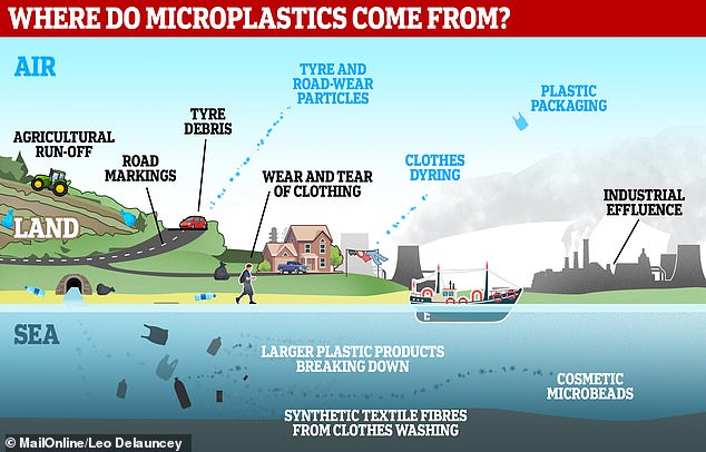1577709836 61 Confirmed microplastics are raining on city dwellers