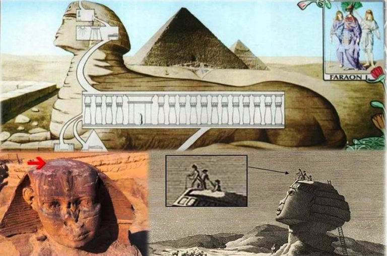 head of the great Sphinx