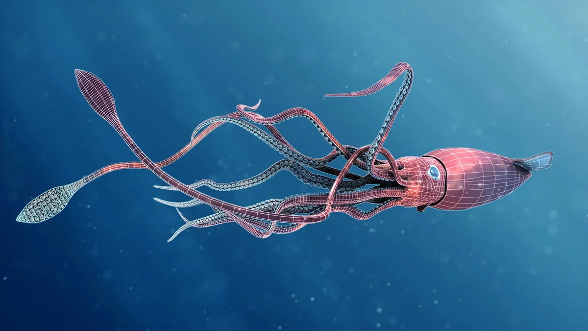 are squids aliens are squids aliens