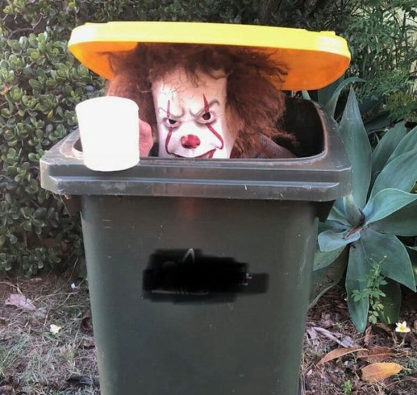 Australians dress up to take out trash People in Australia dress up to take out trash and quarantine fun