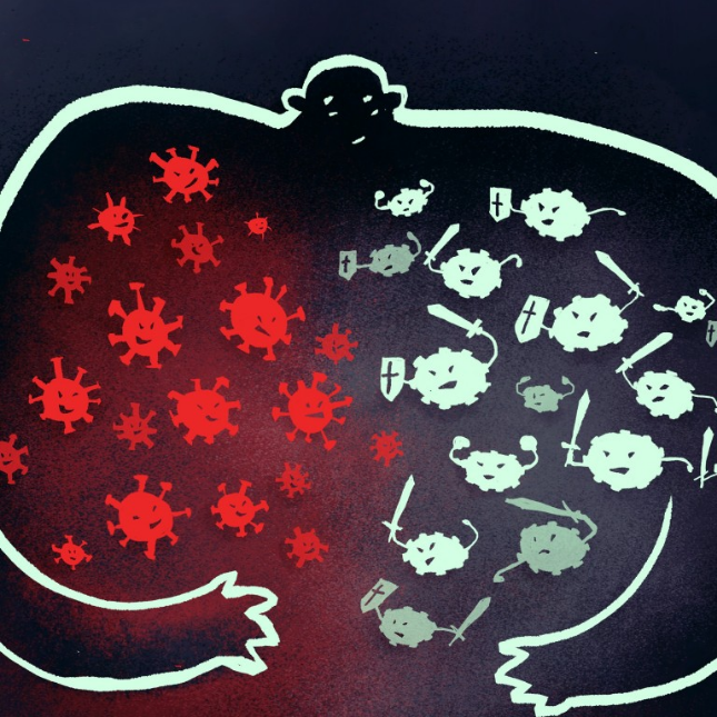 Does recovering from the coronavirus make you immune? Science is not sure