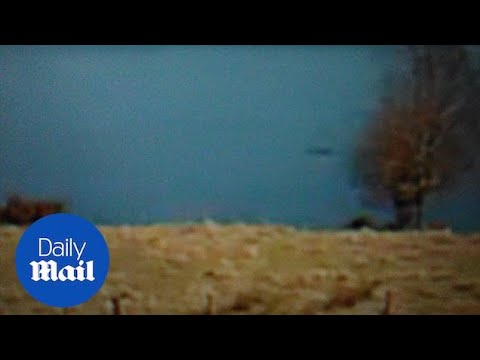 A video of Nessies second confirmed appearance appeared online