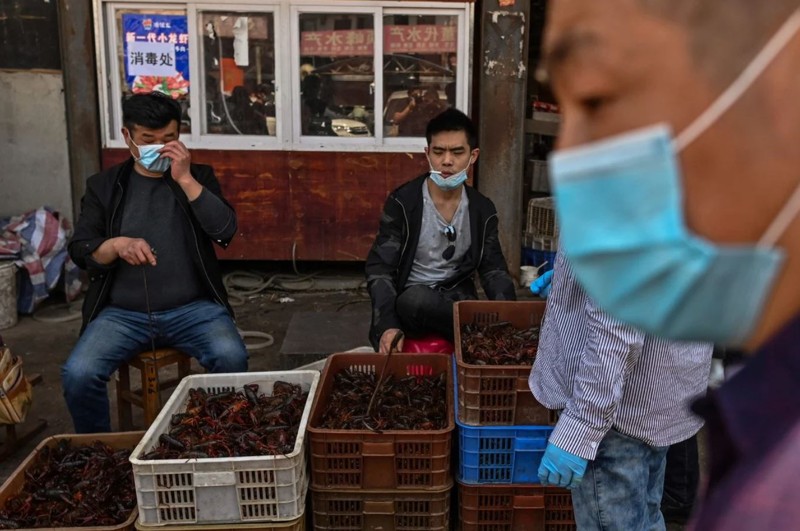 Market in Indonesia continues to sell bats, rats, dogs, cats and exotic animals, despite everything