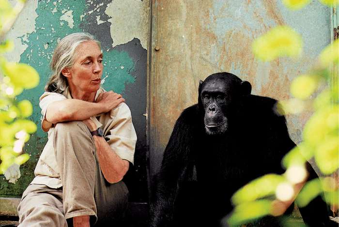 Jane Goodall | humanity is doomed if we don't change after the pandemic