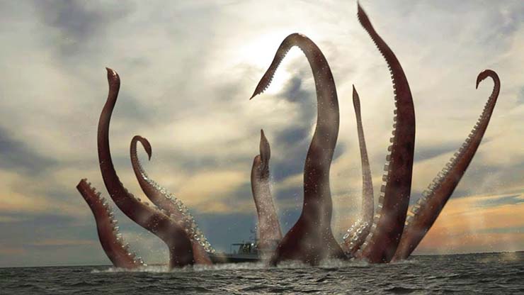 1592022771 908 The Kraken Exists They Photograph a Huge Shark Showing Scars
