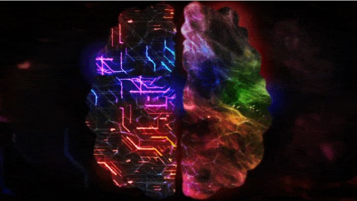 Scientists use physics to understand the mystery of consciousness.jpgfit736415ssl1