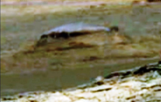 Ancient Alien On Mars1123