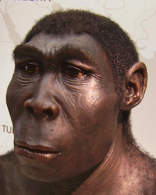 They find DNA of a mysterious and ancient species that mated with humans