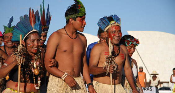 Image results for Macuxi Indians