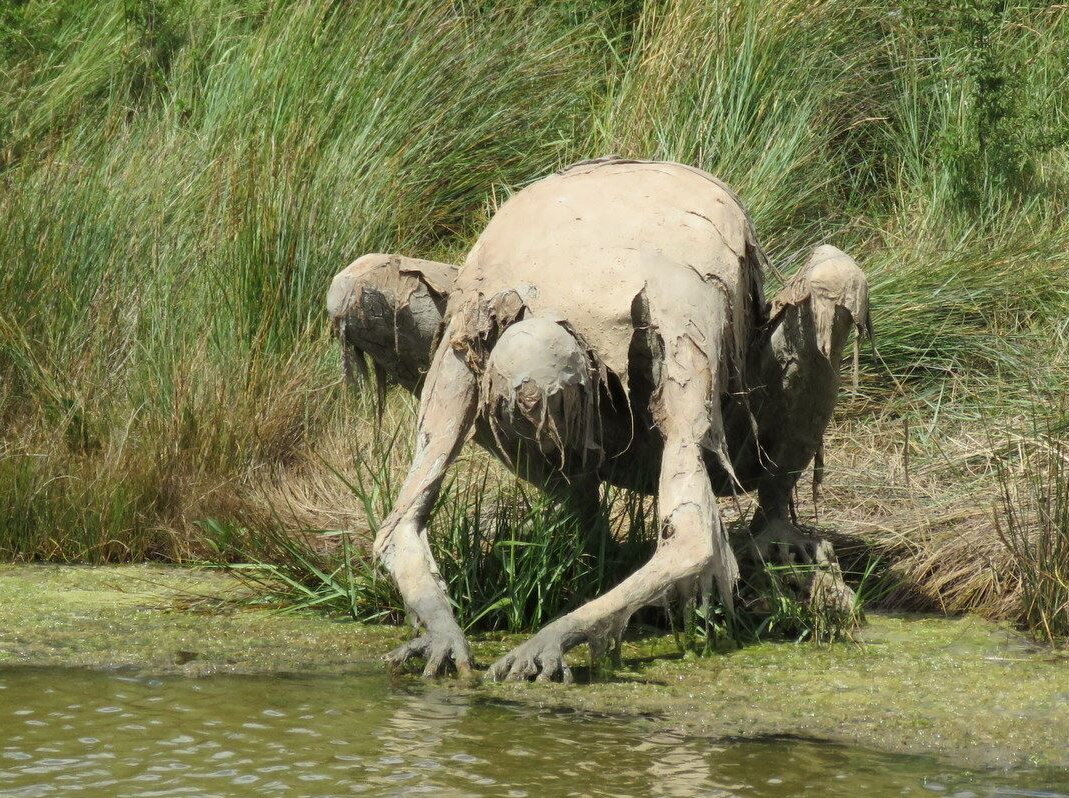 Mudman.  