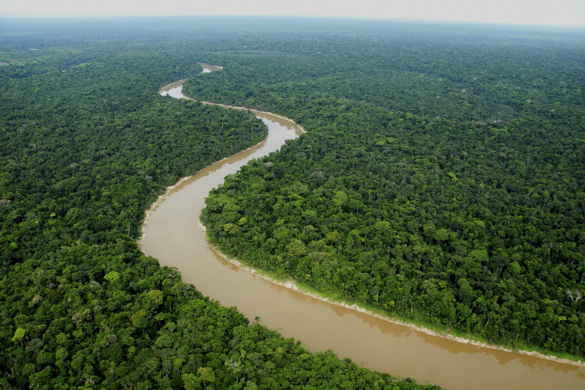 In historical science, it was believed that there were no ancient civilizations on the Amazon