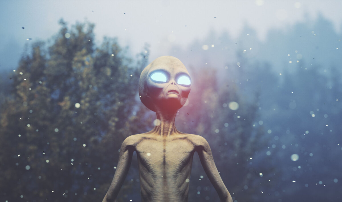 Who are they?  Aliens? 