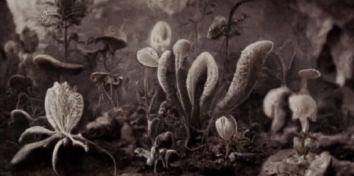 The mystery of Henry Francis Bartholomew's expedition to the center of the earth