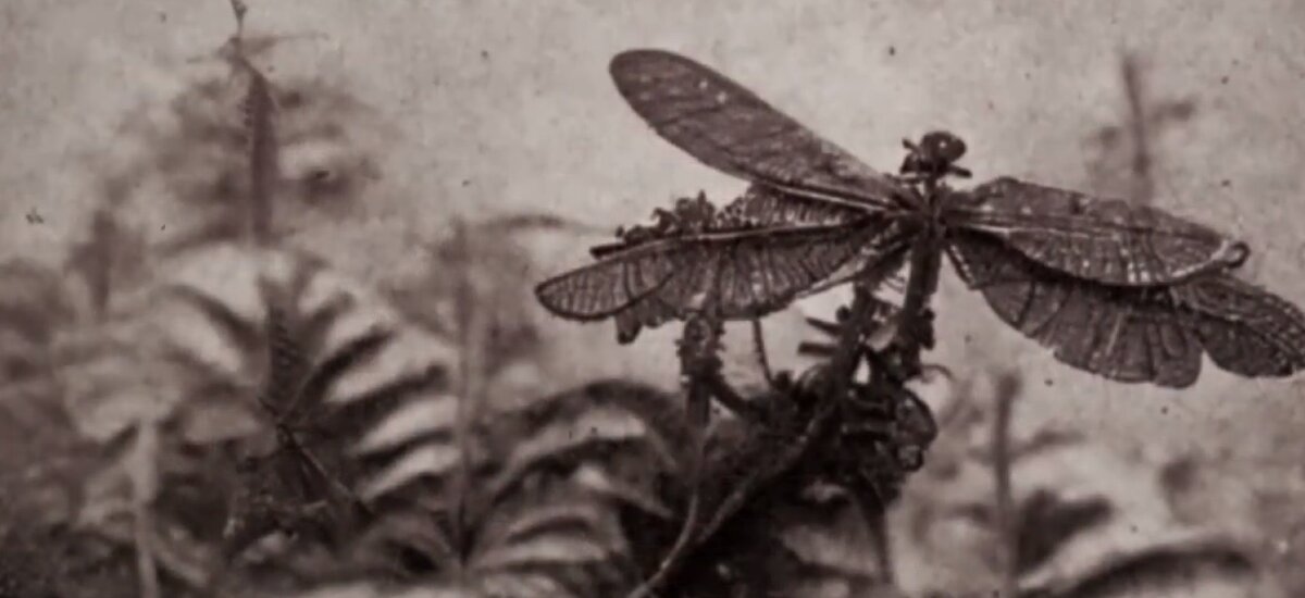 The mystery of Henry Francis Bartholomew's expedition to the center of the earth