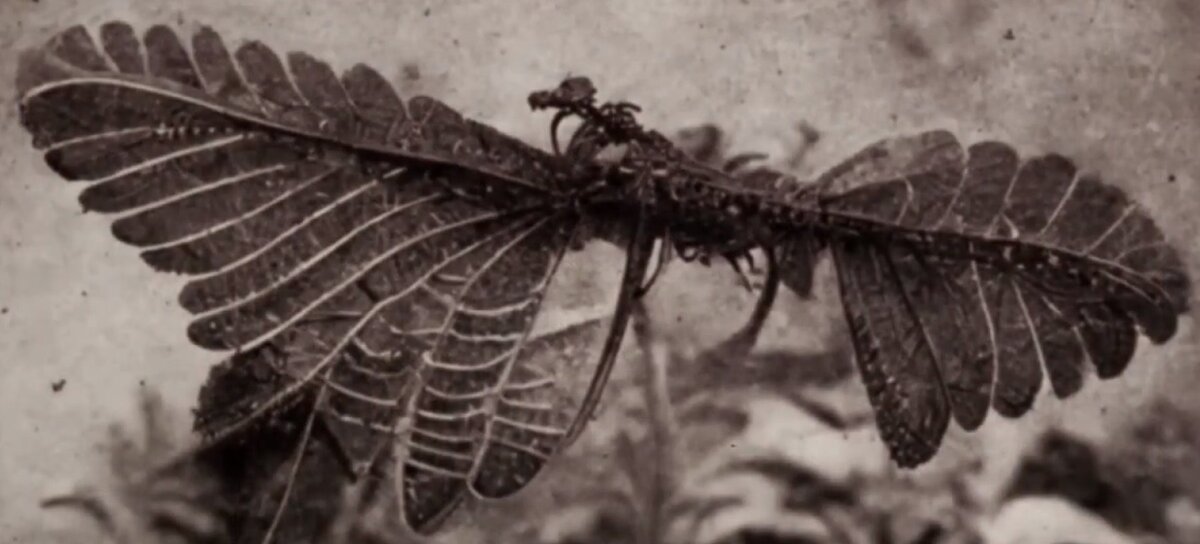 The mystery of Henry Francis Bartholomew's expedition to the center of the earth