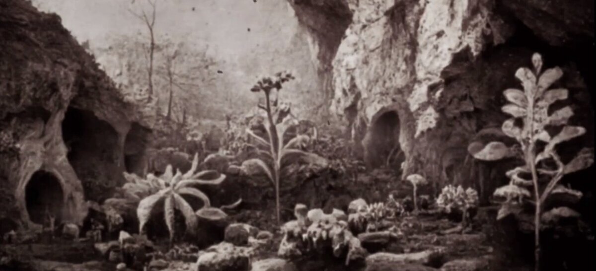 The mystery of Henry Francis Bartholomew's expedition to the center of the earth