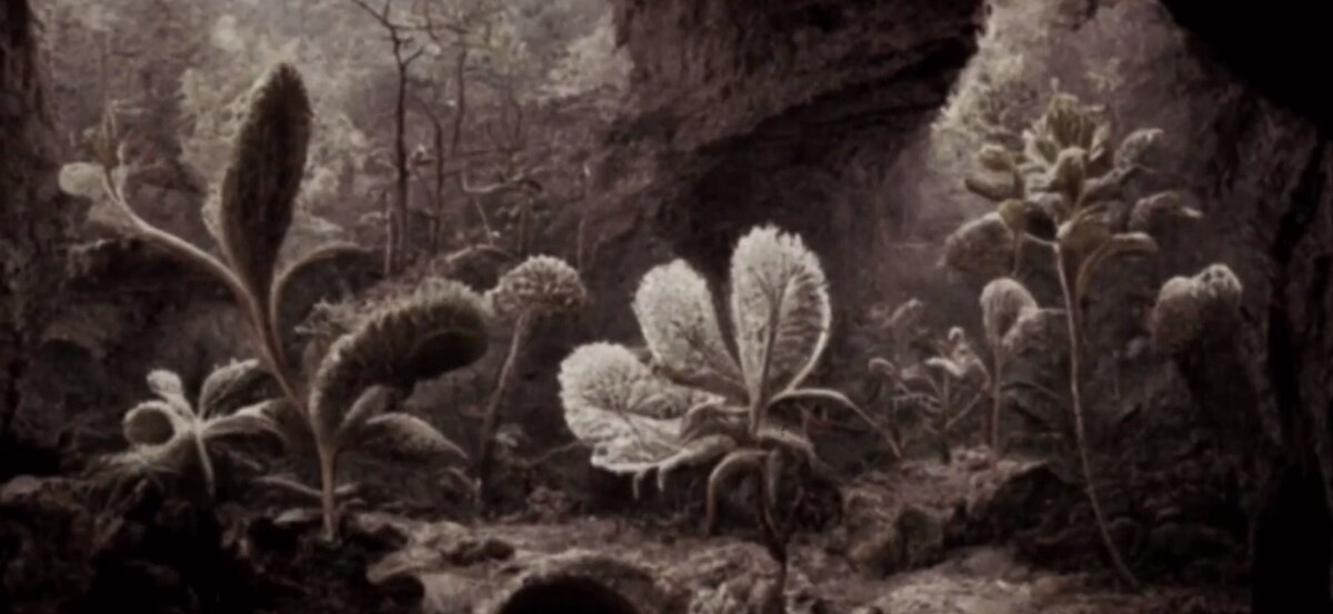 The mystery of Henry Francis Bartholomew's expedition to the center of the earth
