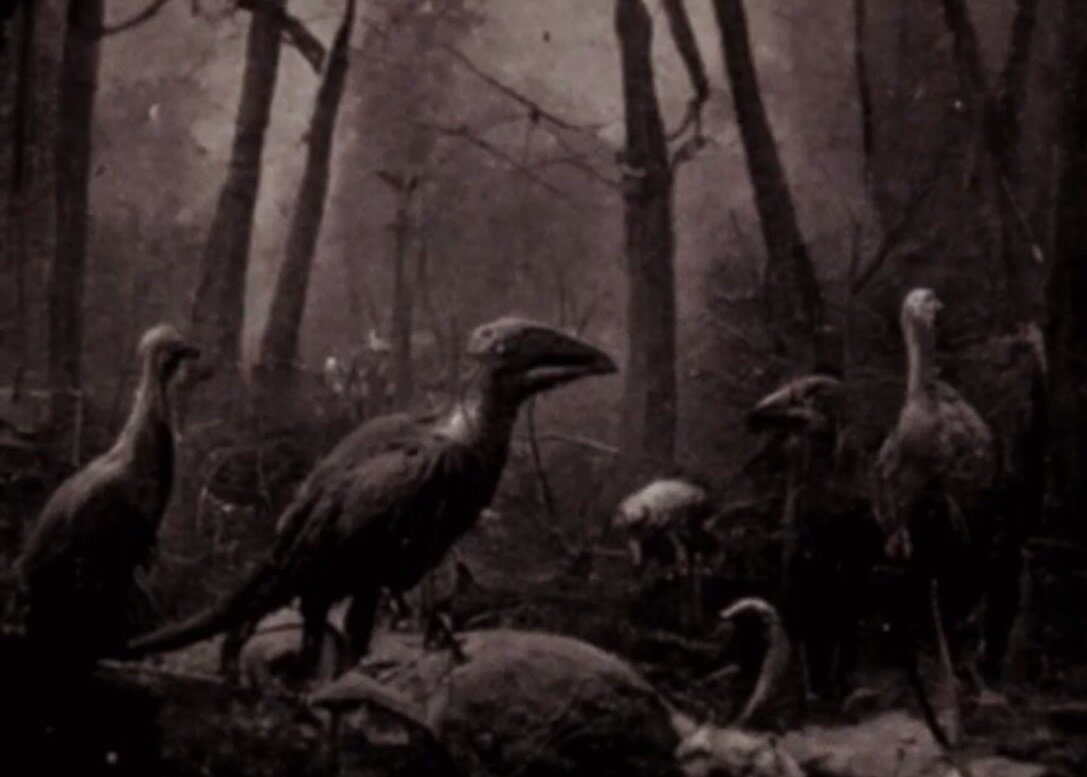The mystery of Henry Francis Bartholomew's expedition to the center of the earth