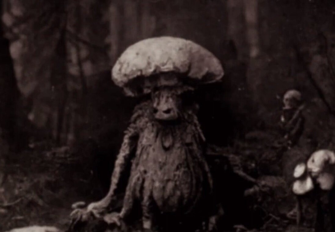The mystery of Henry Francis Bartholomew's expedition to the center of the earth