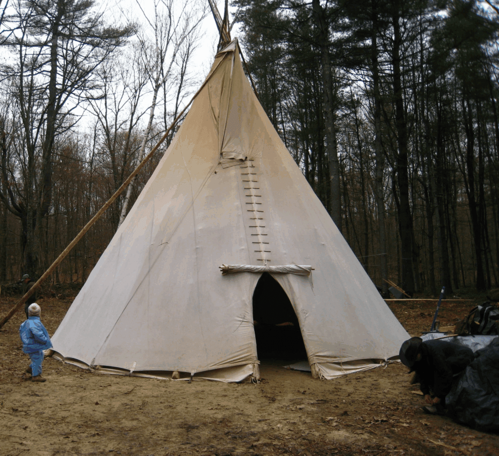 image 14