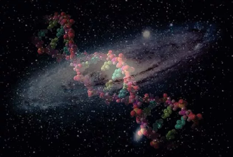 simulation hypothesis questions