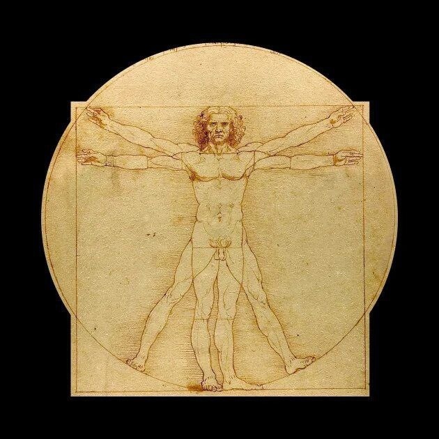 the economist vitruvian man