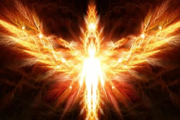 anna paulina luna supernatural lobby