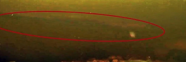 loch ness monster google maps 2
