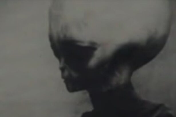 skinny bob gray alien survivor