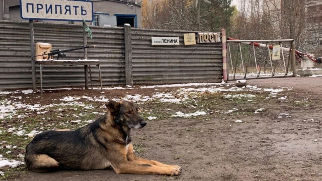 genesis zone chernobyl 3