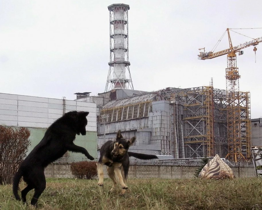 genesis zone chernobyl 4