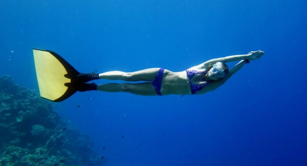 the aquatic ape hypothesis explored 2