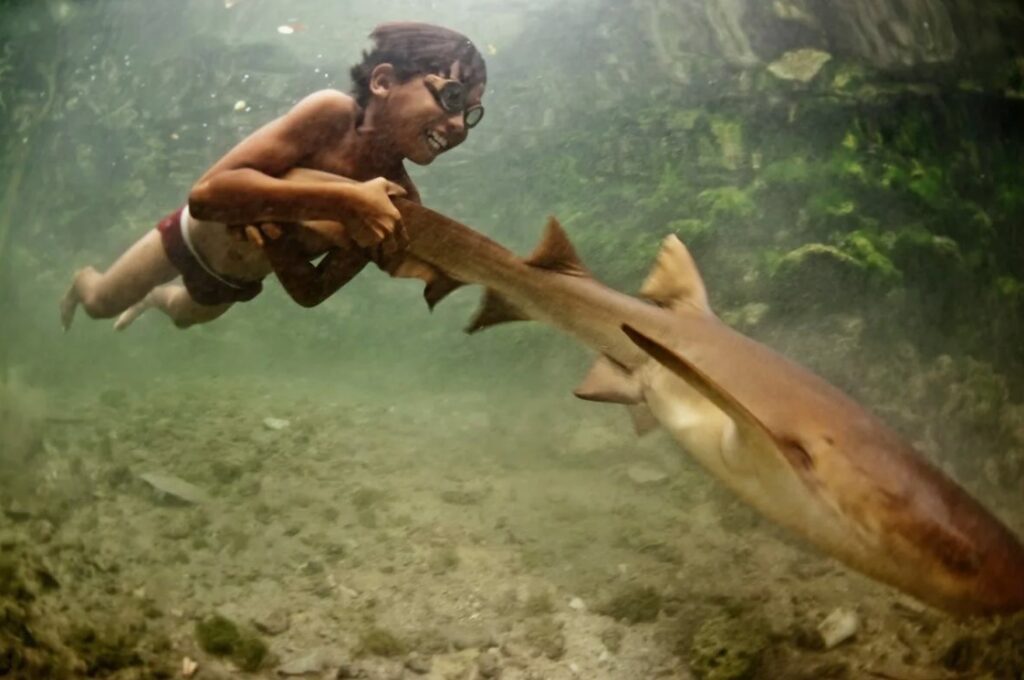 the aquatic ape hypothesis explored 8