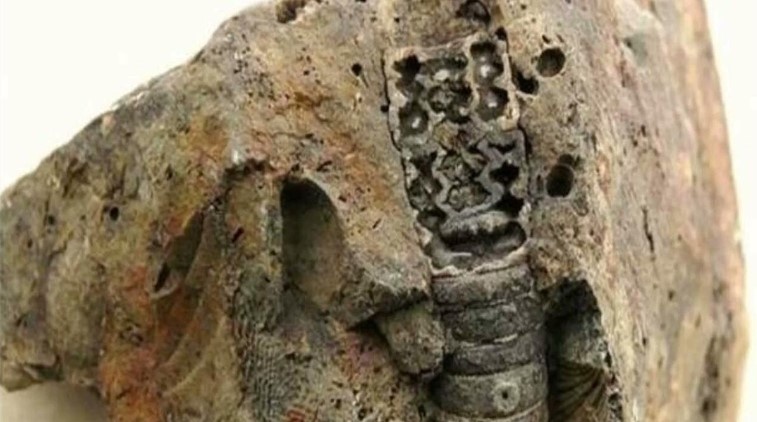 coal holds ring of eve ancient secret 3