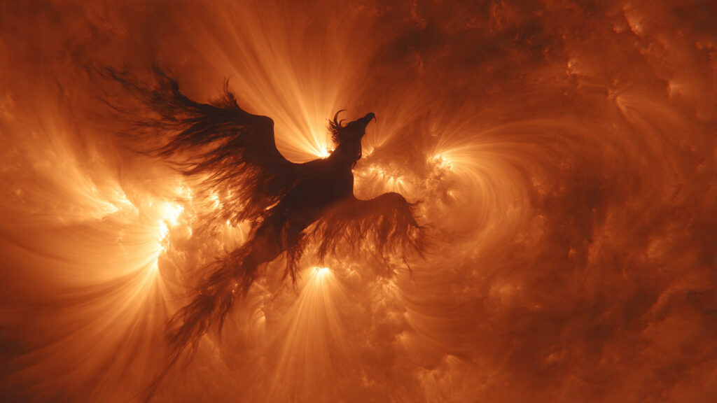 solar phoenix 9 month oscillation third arrival 1