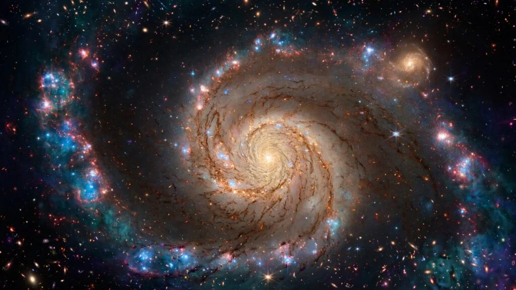 the universal whirlpool 5